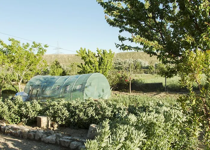 Antiguo Molino De Aceite De Alforque Semesterbostad Alforque
